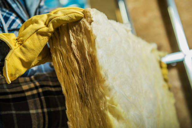 Best Eco-Friendly Insulation in Rancho Mirage, CA